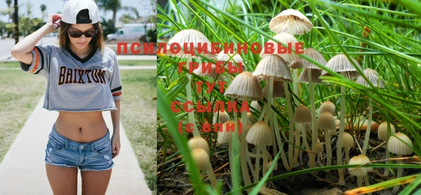 дурь Богородицк