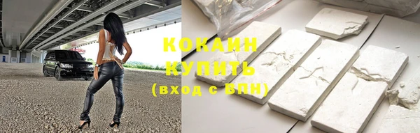 стаф Богородск