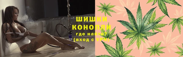 дурь Богородицк