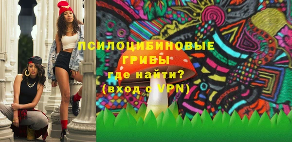 дурь Богородицк
