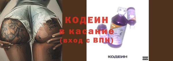 дурь Богородицк