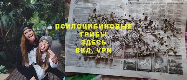 дурь Богородицк