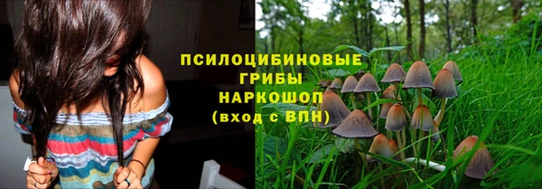 дурь Богородицк